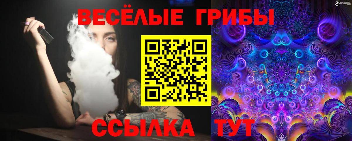 Псилоцибиновые грибы мухоморы Волгодонск